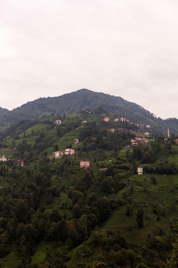 Kayi Pansiyon Ardeşen Exterior foto